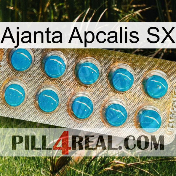 Ajanta Apcalis Sx new09.jpg